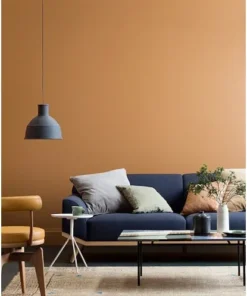 Akoland Matte Paint