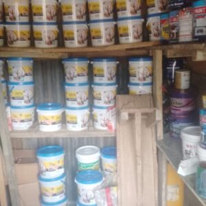 Prestige House Paint