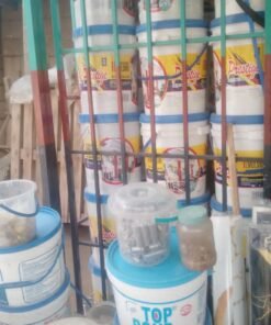 Prestige House Paint