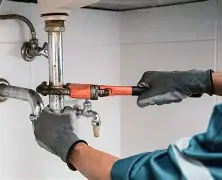 OIP 4 1